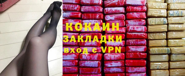соль ск Белокуриха