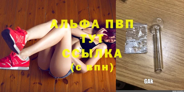 соль ск Белокуриха