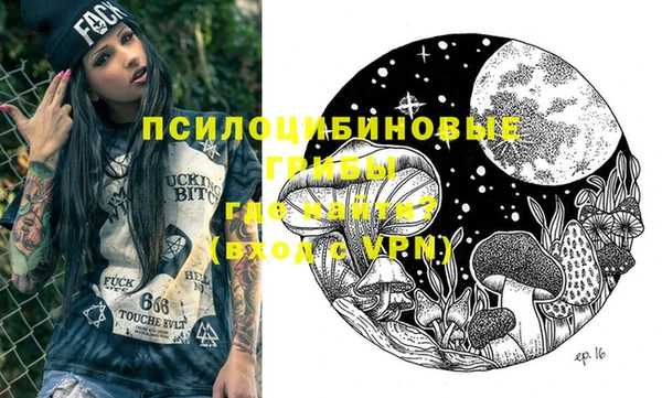 соль ск Белокуриха