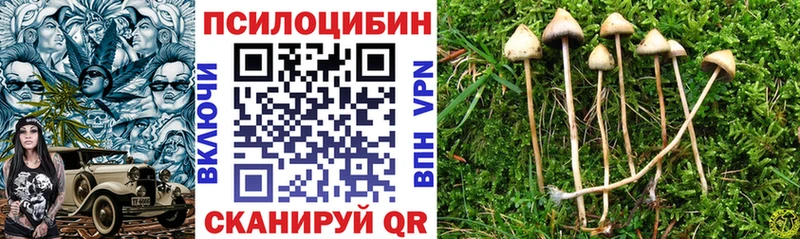 наркота  Буйнакск  Галлюциногенные грибы ЛСД 